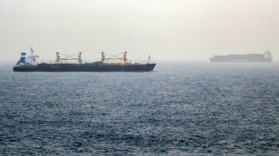 Iran says halts Middle East attacks as US holds fire