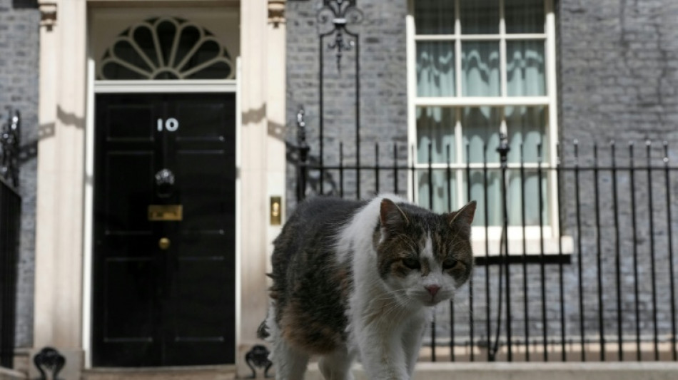 Les Premiers ministres se succ&egrave;dent &agrave; Downing Street, Larry le chat reste