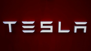Mehrere Teslas in Berlin in Brand gesetzt - Staatsschutz ermittelt
