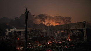 "Des tunnels de feu": en Gironde, la lutte au "corps &agrave; corps" des pompiers 