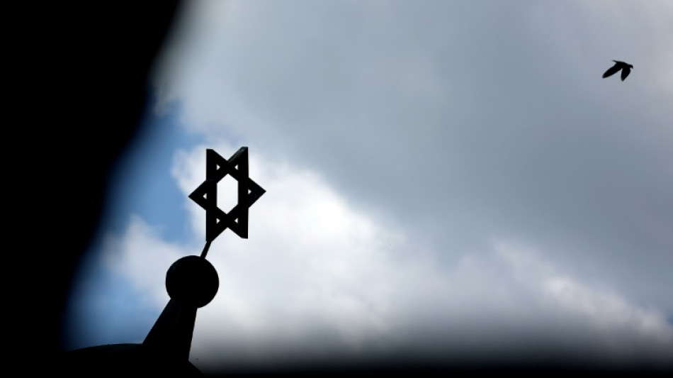 Ursache f&uuml;r Besch&auml;digung von Synagogenfenster in Hannover war Vogelschlag