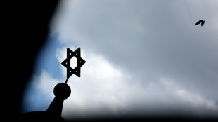 Ursache f&uuml;r Besch&auml;digung von Synagogenfenster in Hannover war Vogelschlag