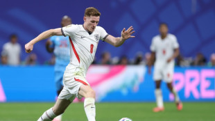 El Manchester City, cerca de cerrar el fichaje r&eacute;cord de Anderson