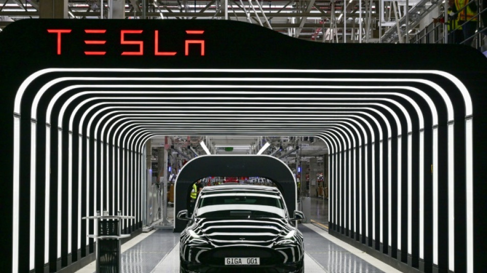 Tesla, malmen&eacute; au 1er trimestre, promet une voiture &agrave; bas co&ucirc;t "aussi vite que possible"