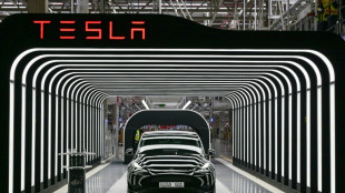 Tesla, malmen&eacute; au 1er trimestre, promet une voiture &agrave; bas co&ucirc;t "aussi vite que possible"