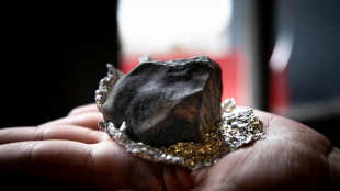 Asteroide foi rastreado na Fran&ccedil;a gra&ccedil;as &agrave; ci&ecirc;ncia participativa