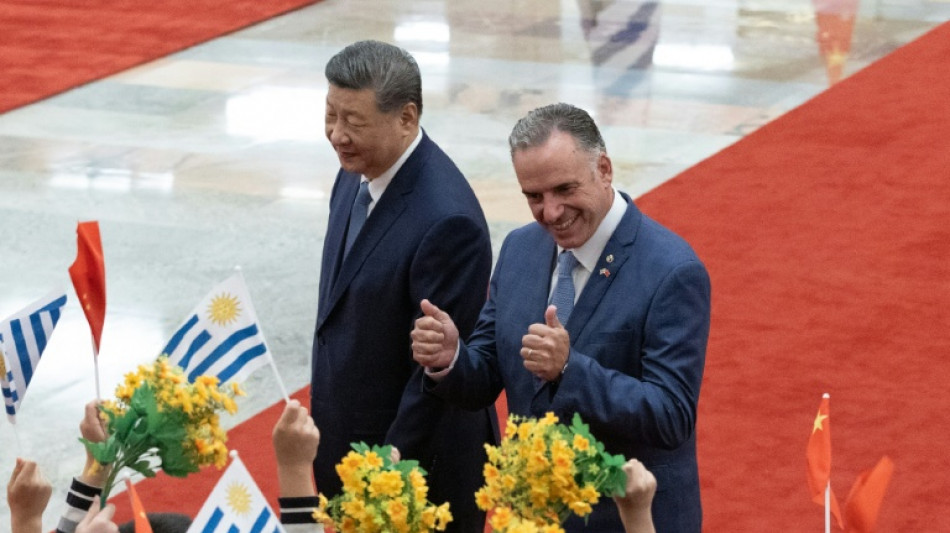 Xi defende mundo multipolar 'ordenado'