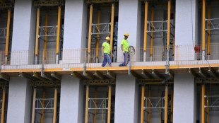 &Ouml;konom Bofinger f&uuml;r milliardenschweres Wohnungsbauprogramm 