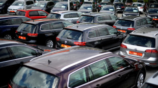 Versicherer: Insgesamt leichtes Beitragsplus - Gro&szlig;e Verluste im Kfz-Bereich