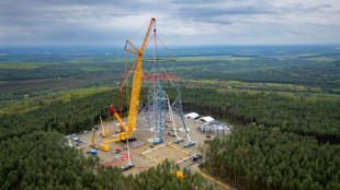 Giant wind turbine rises in Germany amid far-right headwinds