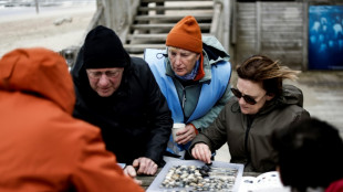 North Sea shell survey brings out volunteers
