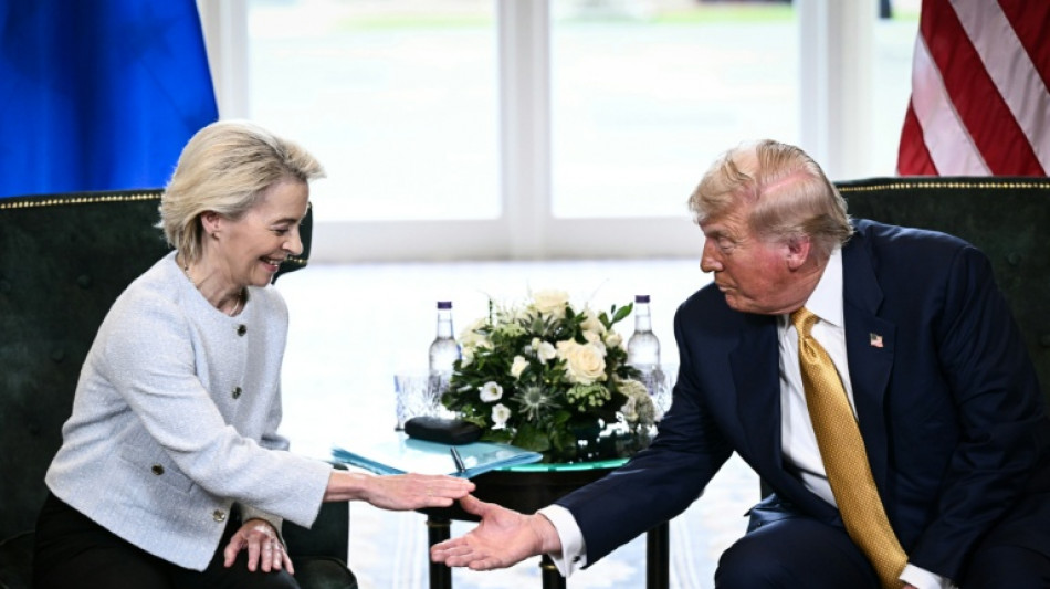 Les eurod&eacute;put&eacute;s valident l'accord commercial avec les &Eacute;tats-Unis, avec de fortes r&eacute;serves