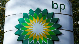BP &eacute;carte son pr&eacute;sident en raison de "graves pr&eacute;occupations" sur sa gouvernance