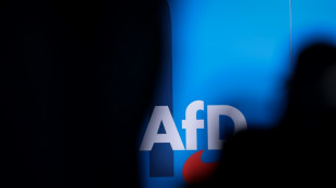 Wahlprogramm: AfD will Abtreibungen einschr&auml;nken und aus EU austreten