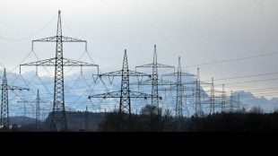 &Uuml;bertragungsnetzbetreiber wollen Entgelte f&uuml;r 2024  festlegen