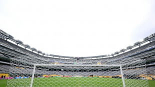 World Cup fans to pay $150 for NY stadium train ticket: official