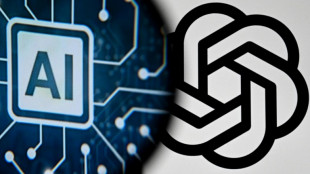 OpenAI planeja construir megacentro de dados na Patag&ocirc;nia argentina, diz governo