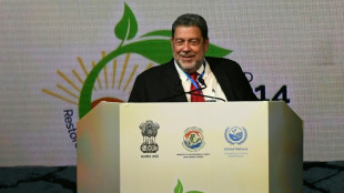 San Vicente y las Granadinas elige nuevo primer ministro y Maduro pierde un aliado