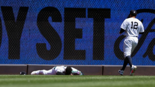 Yankees outfielder Dominguez collides with wall making catch