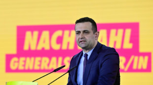 FDP kommt Union in Streit um B&uuml;rgergeld bei "Vertrauenszeit" entgegen