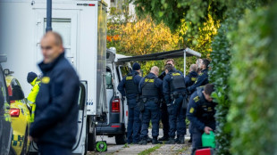 Ermittlungen zu m&ouml;glichen Angriffen auf Israels Botschaften in D&auml;nemark und Schweden