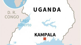 Veinte ni&ntilde;os y un adulto mueren en un accidente de autob&uacute;s escolar en Uganda
