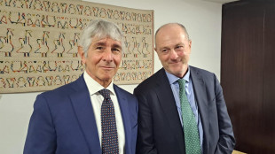 Binaghi, 'Coni da rifare, serve intervento della politica'
