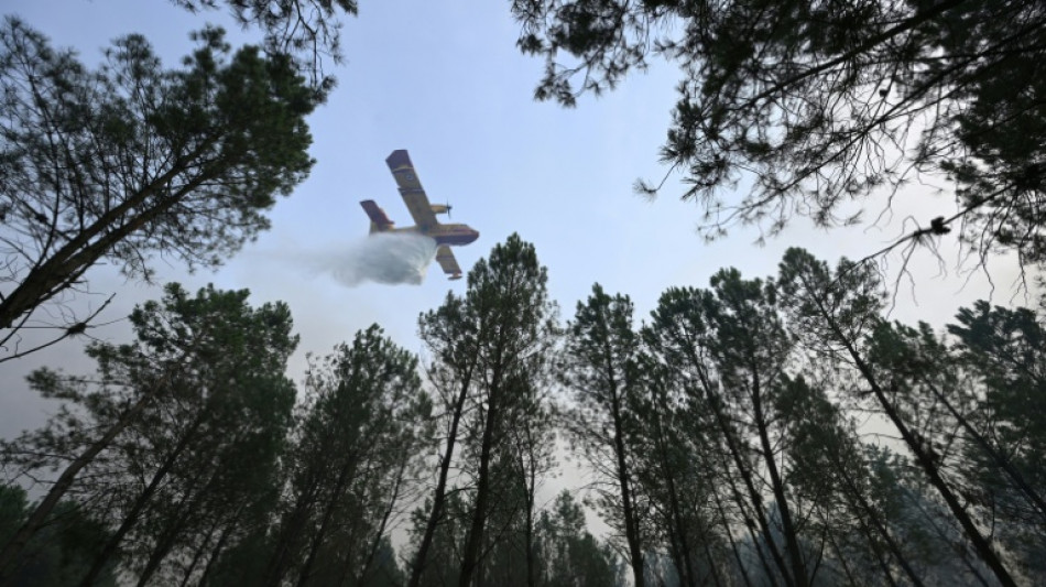 Inc&ecirc;ndios florestais n&atilde;o d&atilde;o tr&eacute;gua na Europa