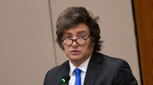 EEUU eval&uacute;a lanzar un salvavidas financiero a la Argentina de Milei 