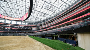 Los Angeles stadium undergoes World Cup facelift