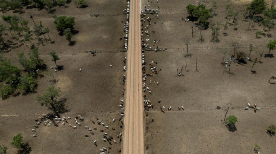 Setor agr&iacute;cola da Bol&iacute;via aguarda mudan&ccedil;a de governo para reativar produ&ccedil;&atilde;o