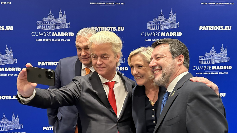 Salvini, 'meno Ue pi&ugrave; libert&agrave;, Scholz vada in Groenlandia'