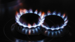 Il prezzo del gas chiude in calo a 31,55 euro