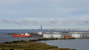 Ministros do G7 pressionam contra aumento da compra de petr&oacute;leo russo