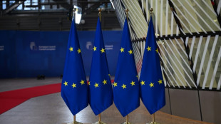 L'UE appelle &agrave; "la plus grande retenue" apr&egrave;s les frappes isra&eacute;liennes en Iran 