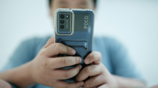 Indonesia eyes e-commerce ban for under-16s: minister to AFP