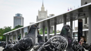Ataques con drones matan a cuatro personas en Rusia