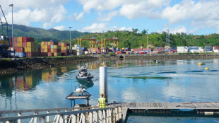 &Agrave; Mayotte, l'avenir du port de Longoni en suspens &agrave; l'approche de la fin de sa d&eacute;l&eacute;gation
