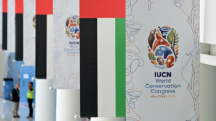 Alerte de l'UICN sur les espèces menacées de phoques et d'oiseaux