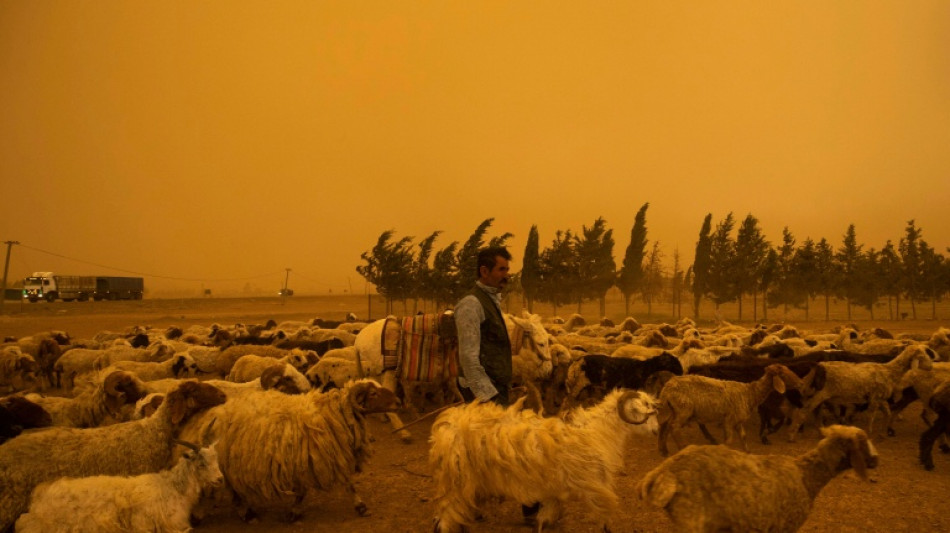 Dust in the wind: intense storms struck China, US in 2025, says UN