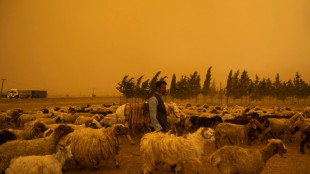 Dust in the wind: intense storms struck China, US in 2025, says UN