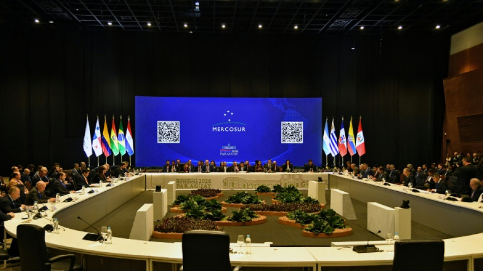 Mercosur da un fuerte respaldo al gobierno de Paz en Bolivia