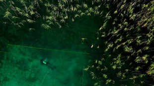 Archaeologists uncover Europe's oldest stilt village