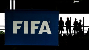 Fall Diarra: FIFA beschlie&szlig;t &Uuml;bergangsregeln zu Transfers 