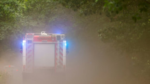 Verkohlte Leiche in brennender Lokomotive in M&uuml;nster gefunden