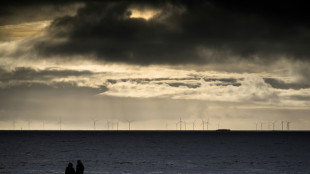 Frankreich will R&uuml;ckstand bei erneuerbaren Energien aufholen
