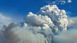 Inc&ecirc;ndios 'fora de controle' colocam fauna do Pantanal em risco