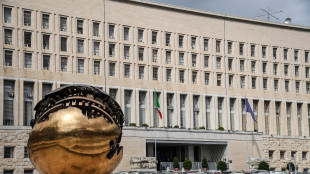 Farnesina, tutti gli attivisti Flotilla verso Eilat, imbarco su charter Turkish