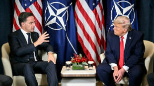 Nach &Auml;u&szlig;erungen zu m&ouml;glichem Nato-Austritt: Rutte trifft Trump in Washington