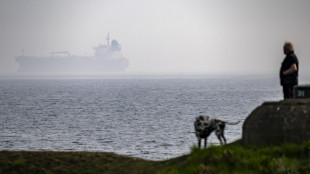 La Svezia consegner&agrave; all'Ucraina una nave della flotta ombra russa